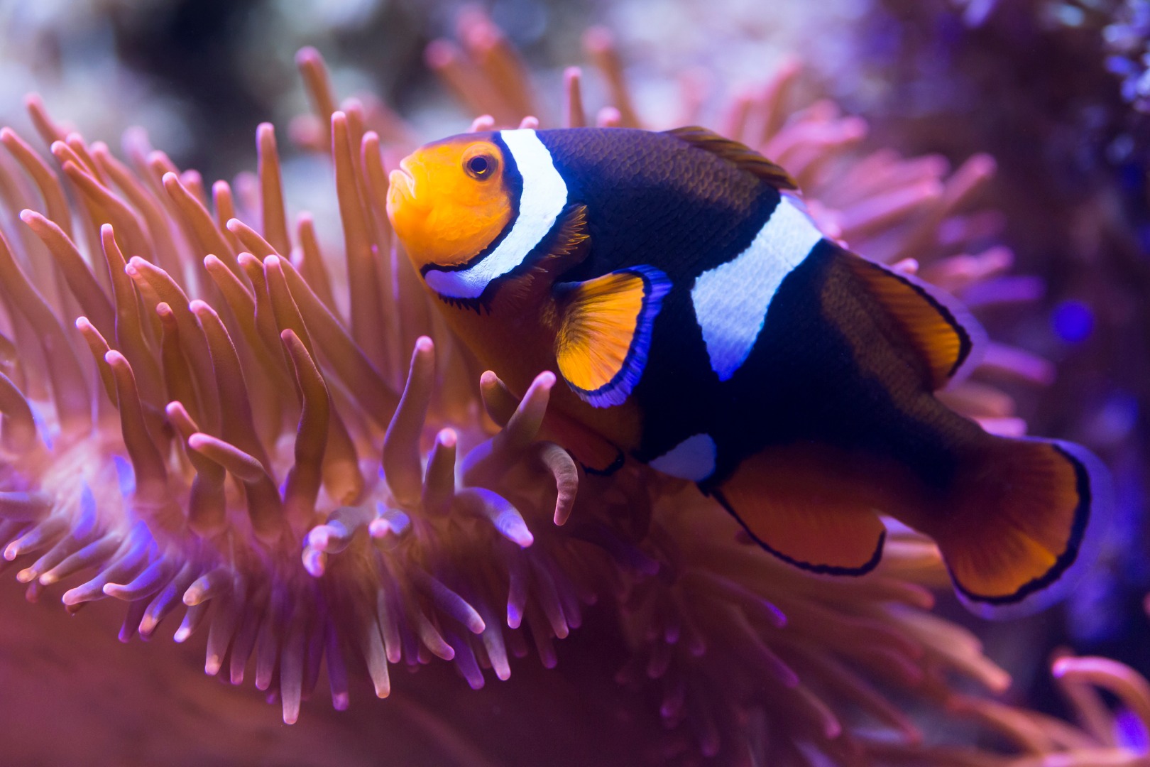 慕尼黑水族馆SEA LIFE门票