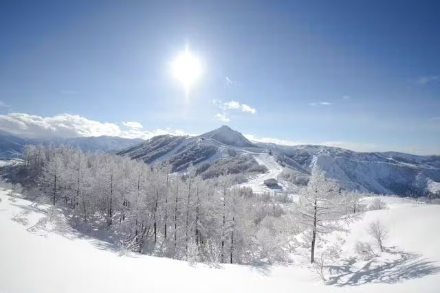 新瀉舞子滑雪場門票