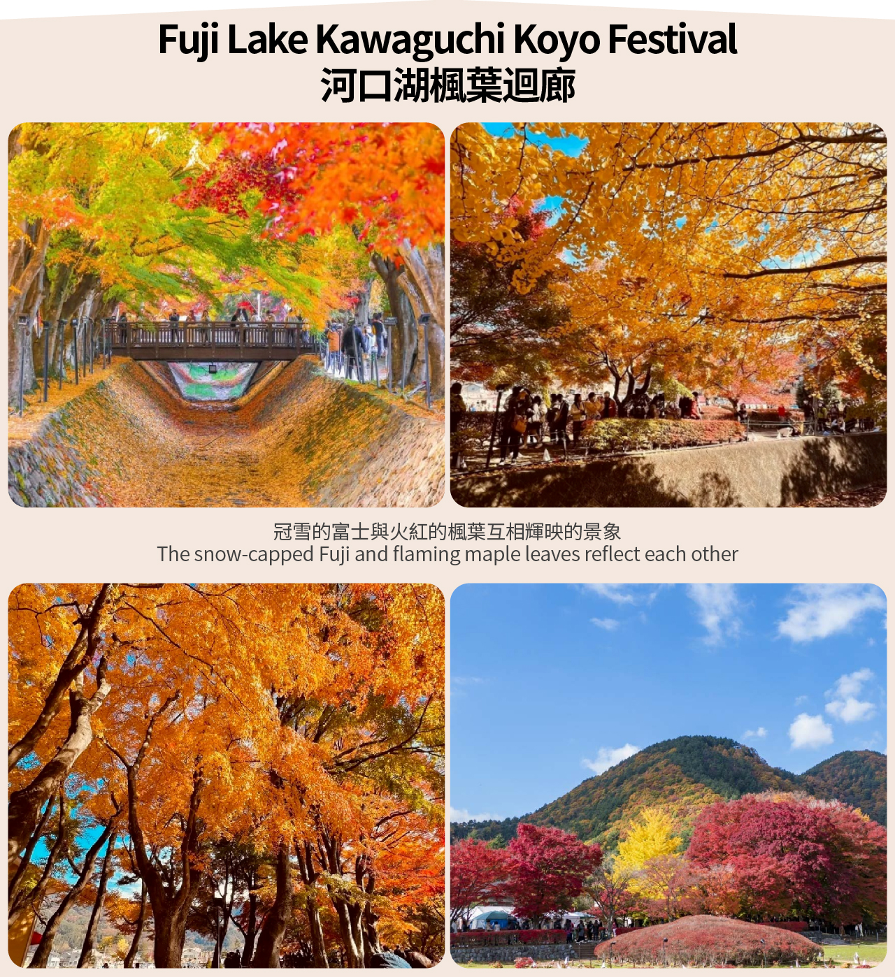 【富士山西湖古村之旅】新倉山五重塔&忍野八海&河口湖大石公園&西湖療愈里根場一日遊（東京出發）