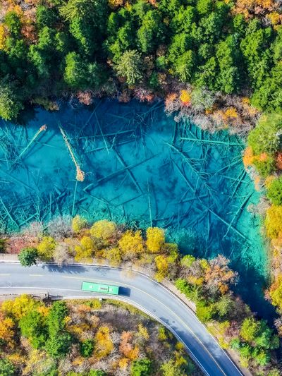 【五花海】上帝打翻的調色盤，孔雀藍疊著薄荷綠，枯木沉在湖底像會呼吸的標本。航拍俯瞰，湖面直接開屏——鏡頭隨便按，都是國家地理封面。