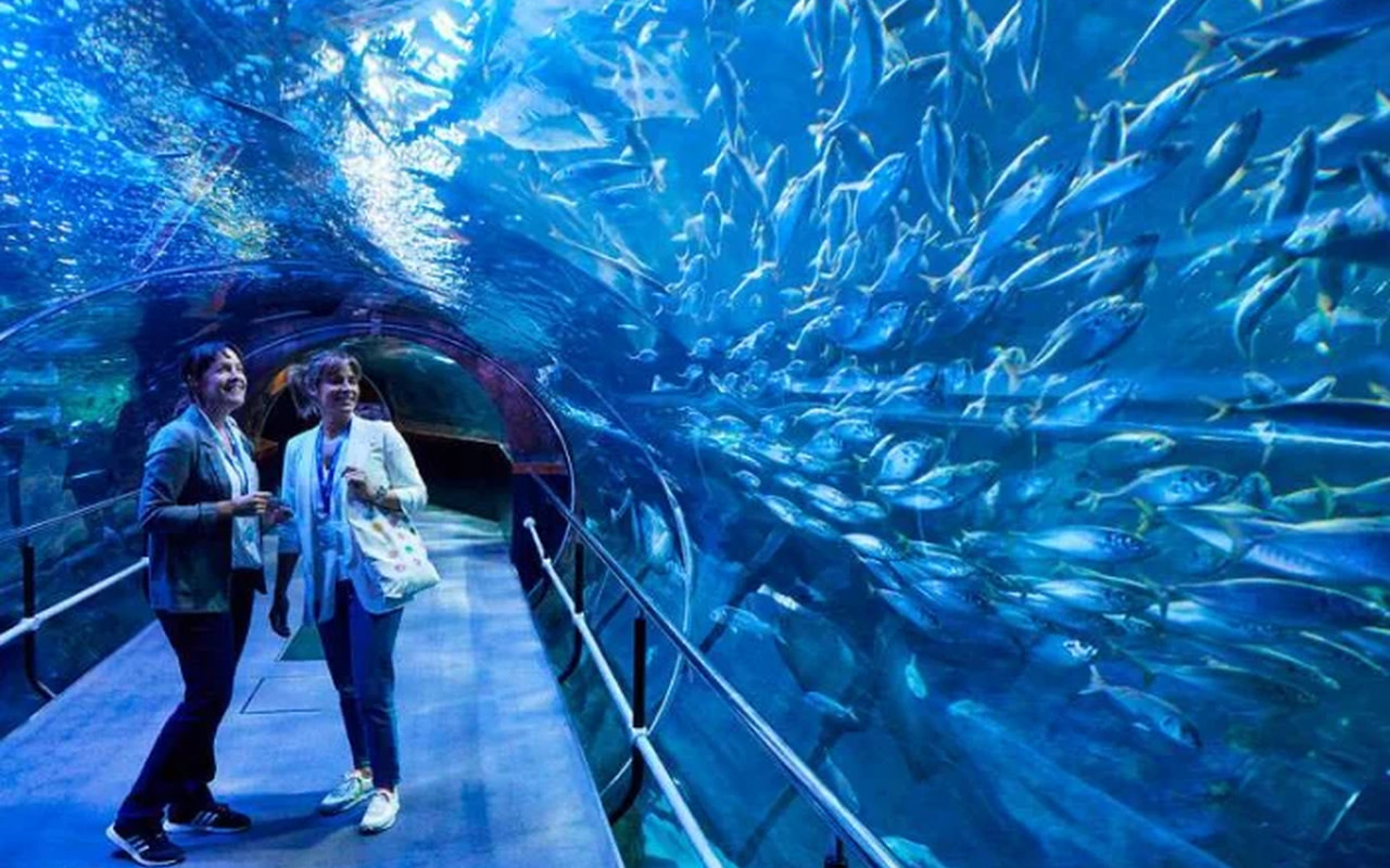 漫步聖塞瓦斯蒂安街頭,沉浸在令人驚嘆的水族館美景中 漫步聖塞瓦斯蒂安街頭,沉浸在令人驚嘆的水族館美景中