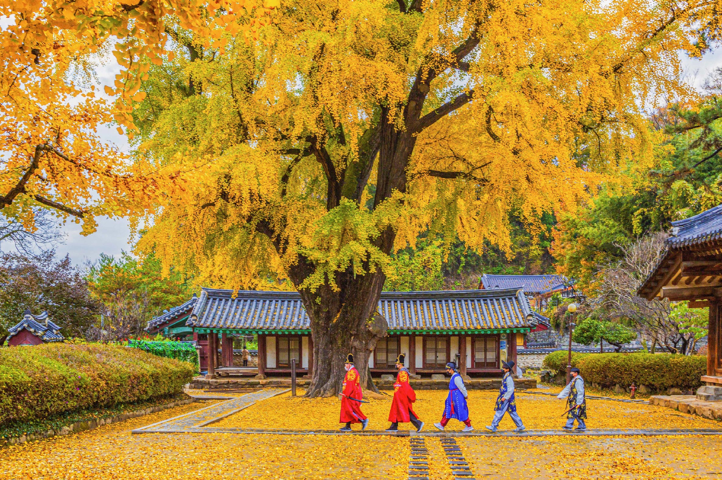 全州韓屋村＆季節性熱門景點一日遊