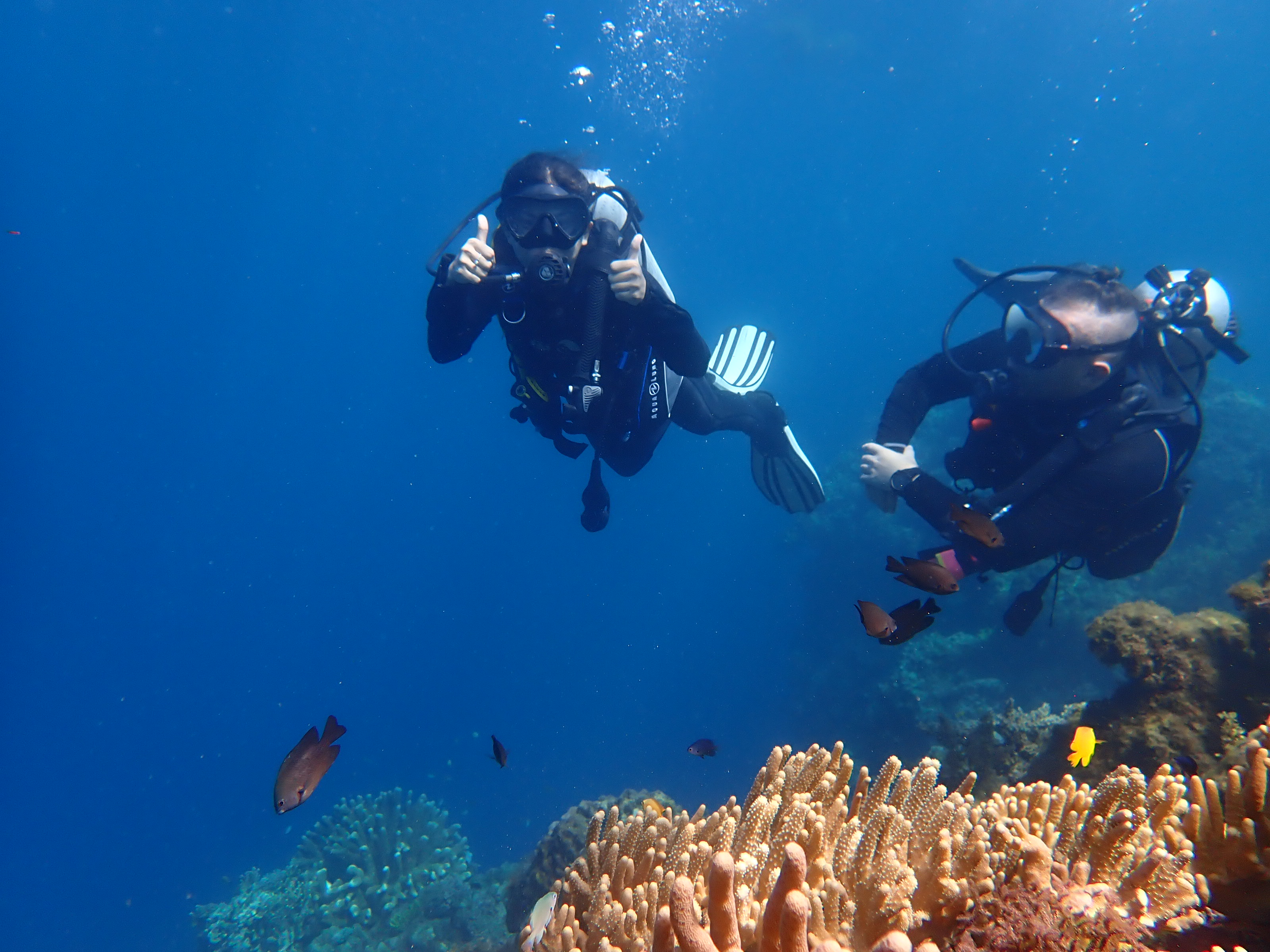 PADIオープンウォーターダイバーコース（パングラオ島 / PADI 5 Star Center提供）