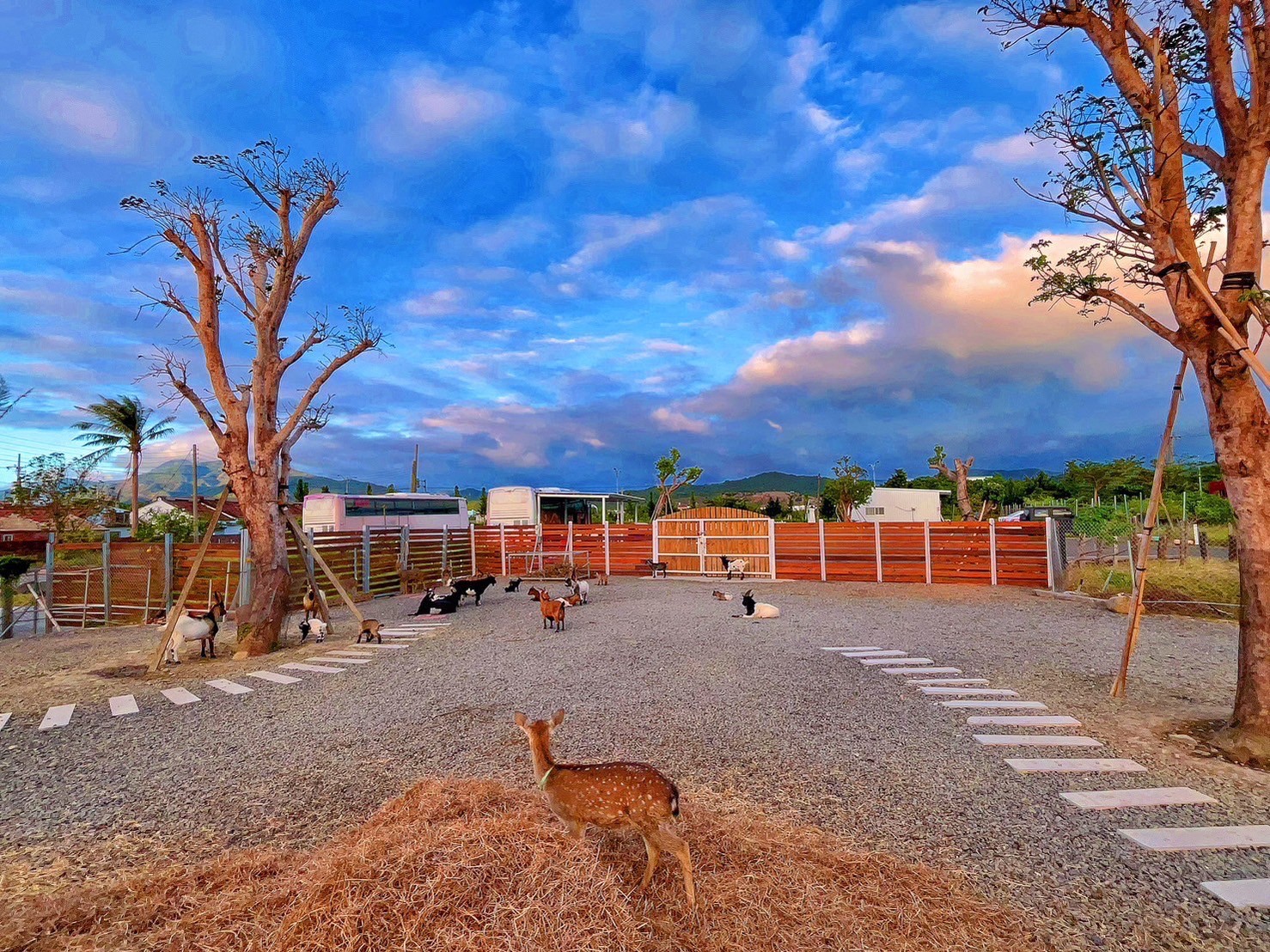 Entrance ticket to Kenting Big Wolf Ecological Education Park