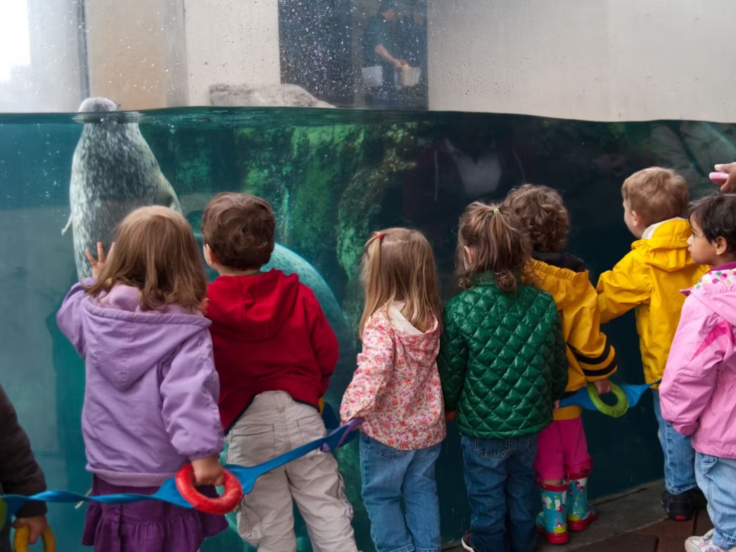 Bursting with excitement, kids press up against the glass, eager to discover the aquatic wonders inside