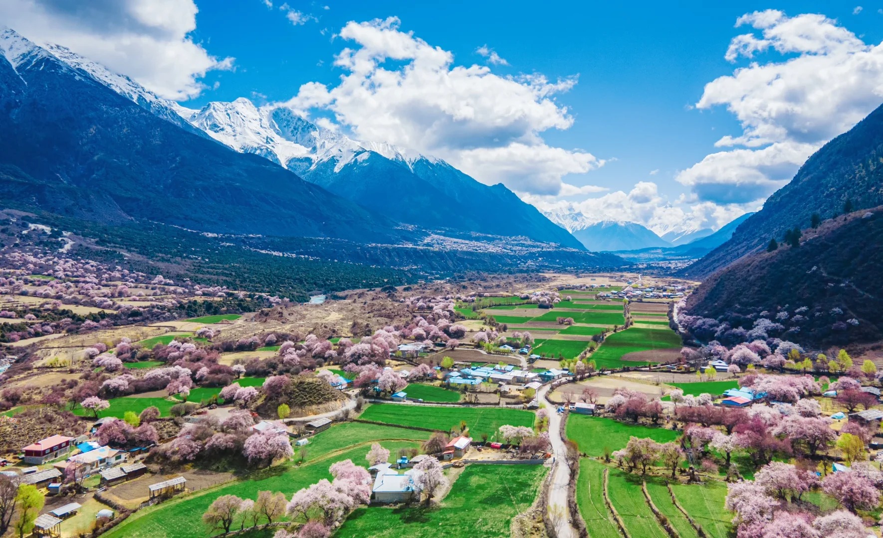 8-day Peach Blossom Tour in Lhasa, Tibet (Hidden Mountain Residence Snow Mountain View Hotel + St. Regis + Gala Peach Blossom Village + Suosong Village + Nanga Bawa Sunshine Golden Mountain + Laigu Glacier + 1V1 In-depth Explanation of Potala Palace)