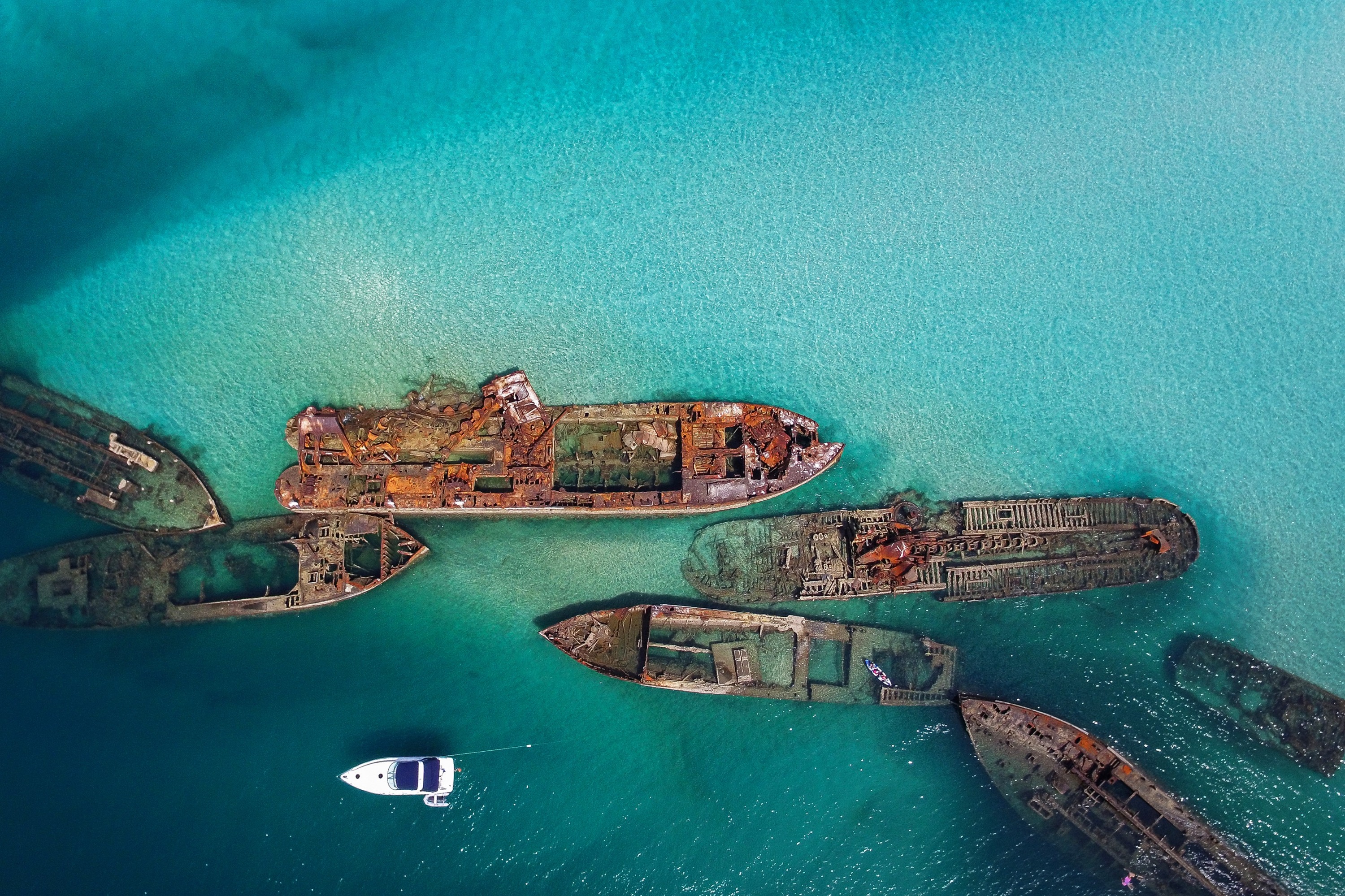 摩頓島水肺潛水體驗