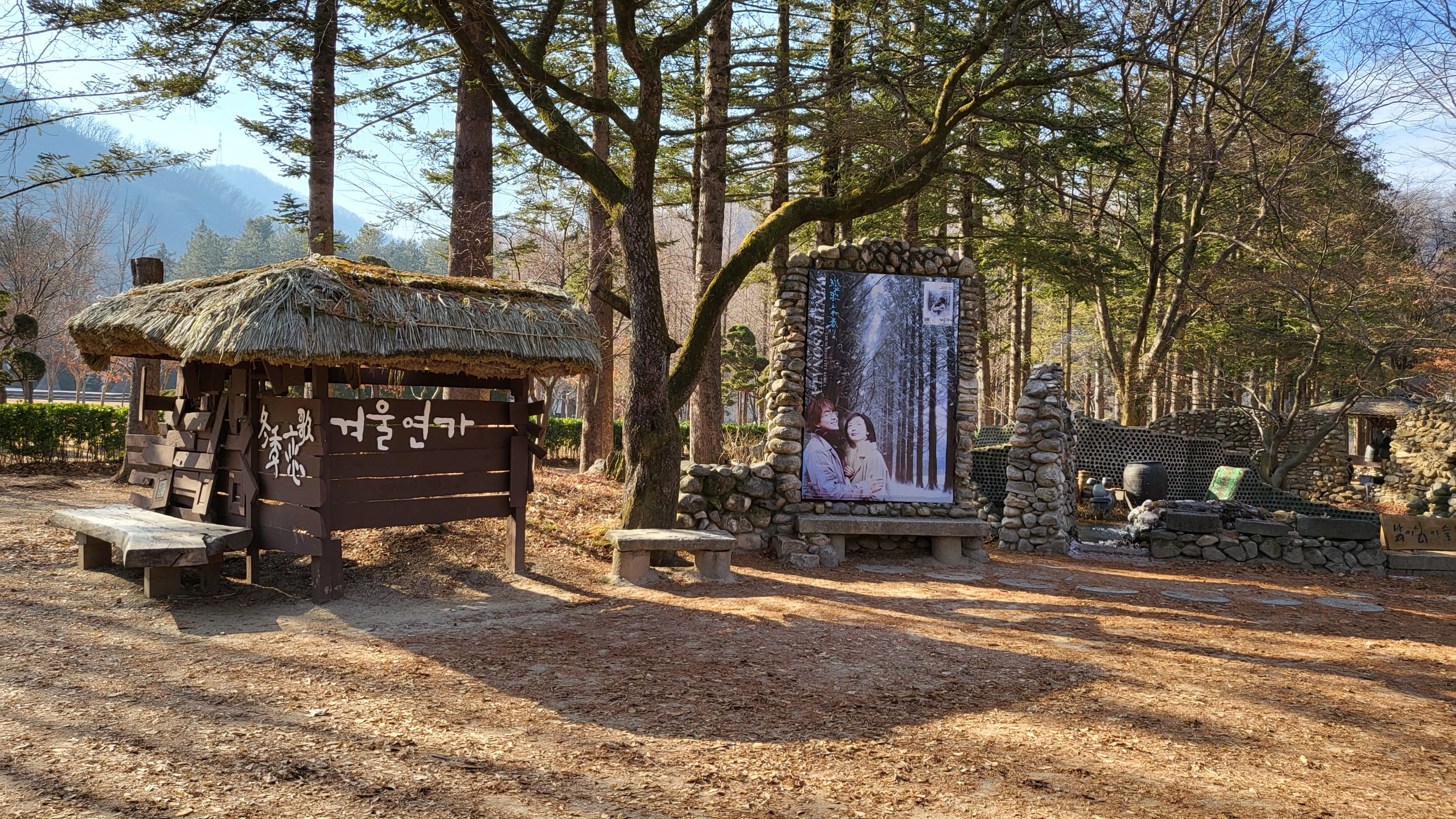 trees at nami island