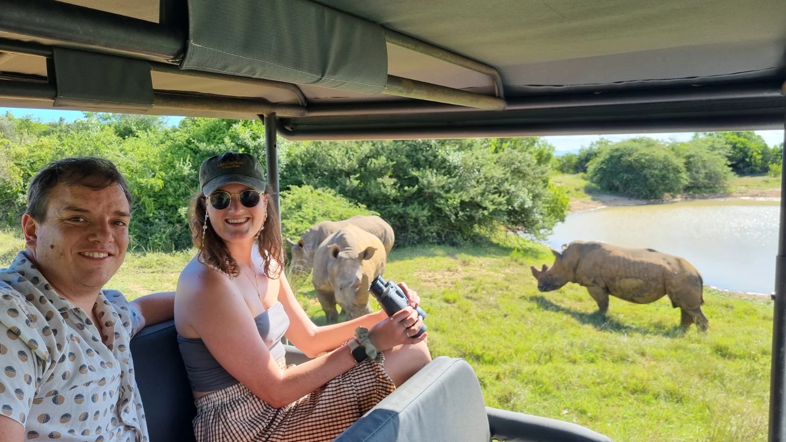 Full-Day Addo Park & Schotia Reserve Safari