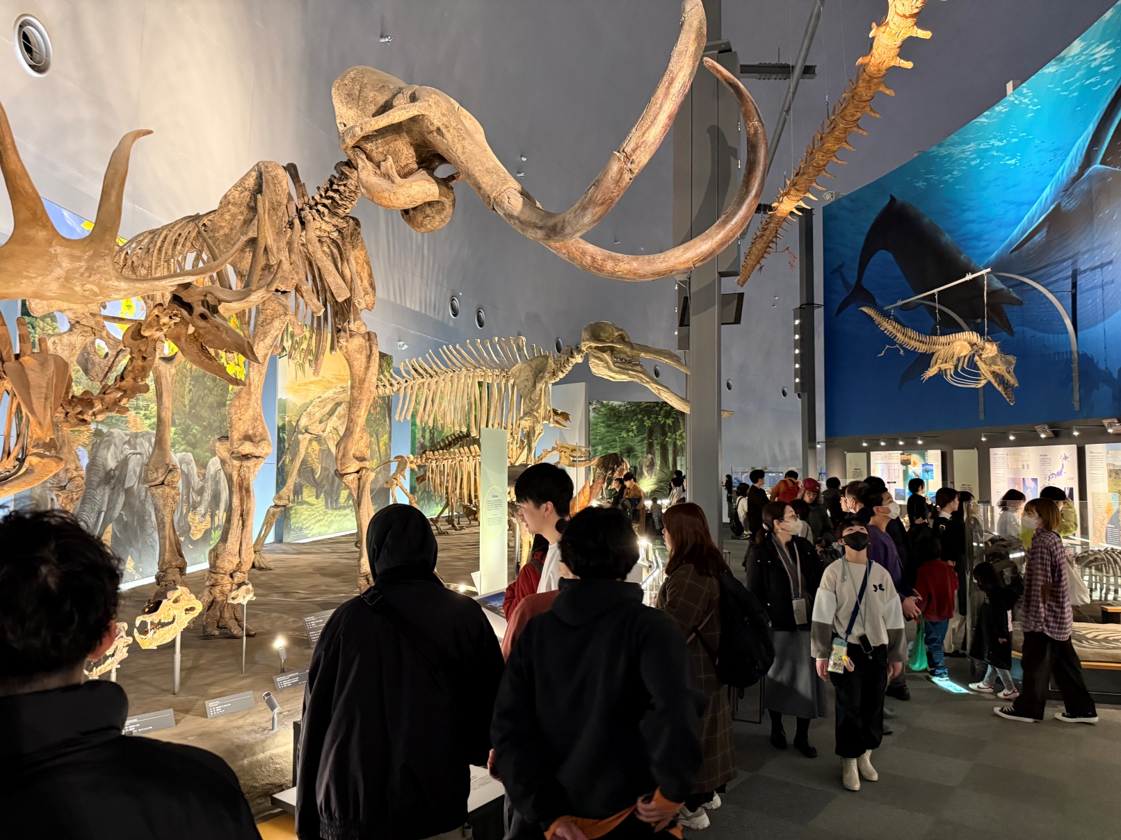 透過壯觀的化石展示,探索恐龍及更多地球生命歷史的奧秘。 透過壯觀的化石展示,探索恐龍及更多地球生命歷史的奧秘。