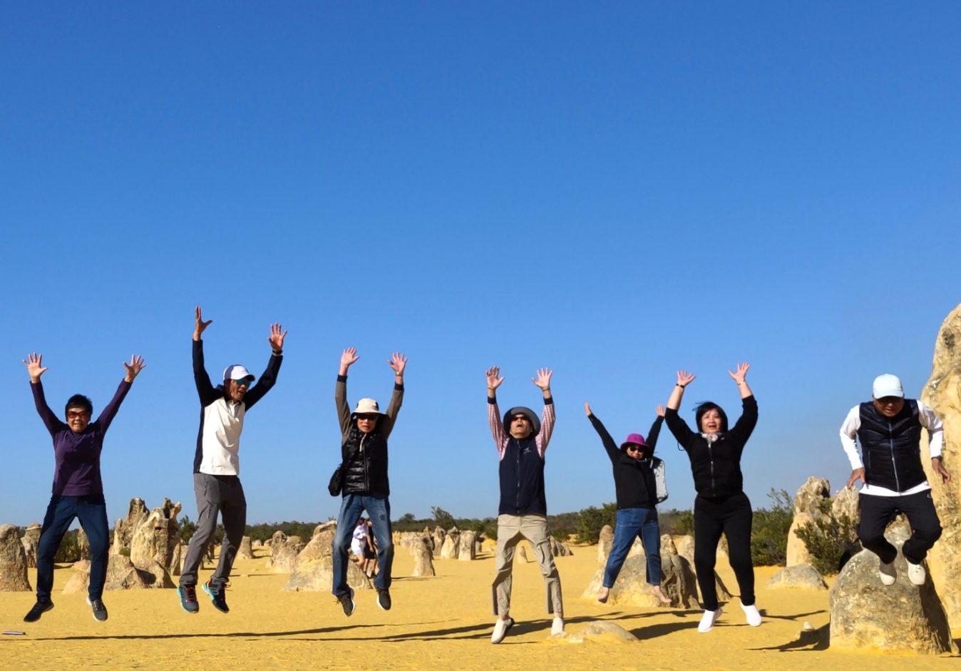 Discover the Pinnacle Desert