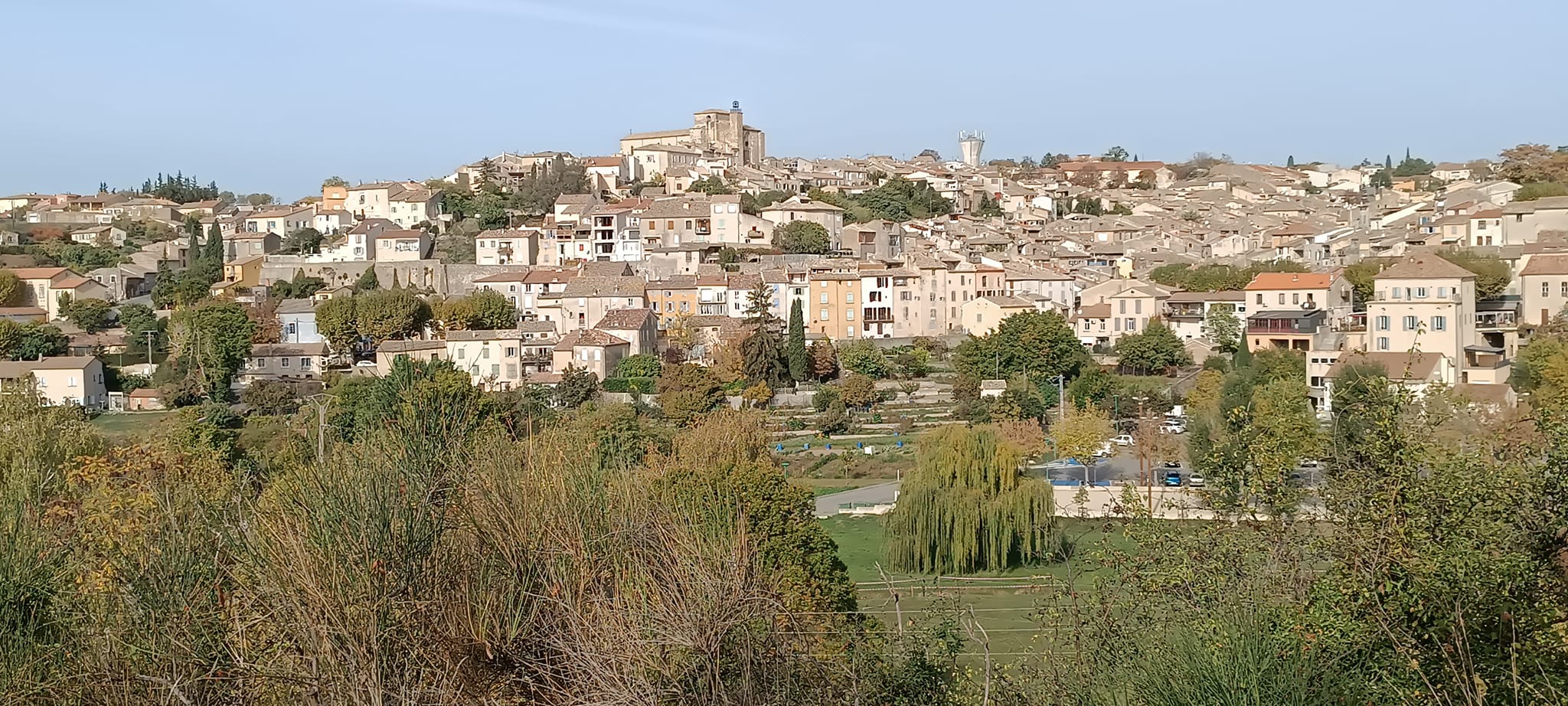 Valensole Lavender fields & Gorges du Verdon - Private tour