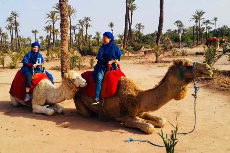 Camel Ride and Quad Bike Experience at Palmeraie Marrakech