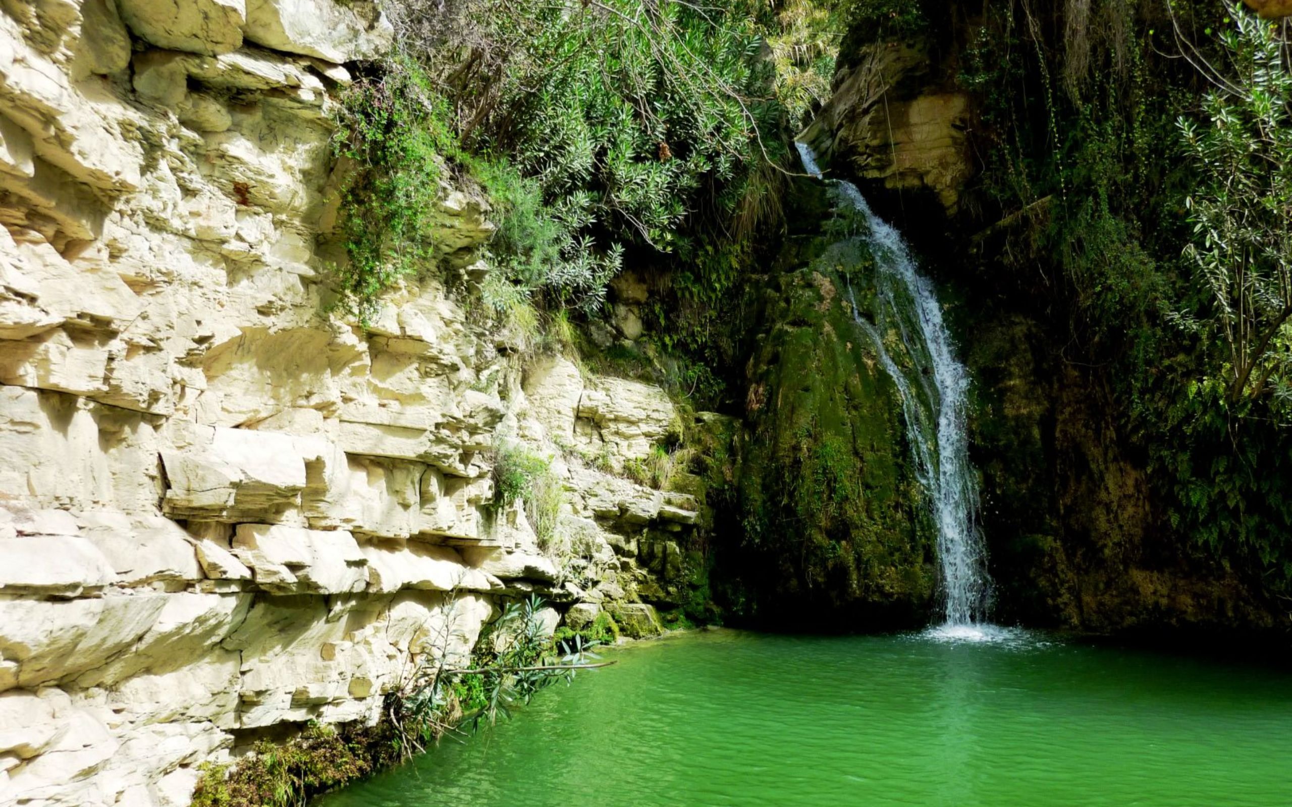 Adonis Baths & Avakas Gorge Private Half-Day Tour from Paphos
