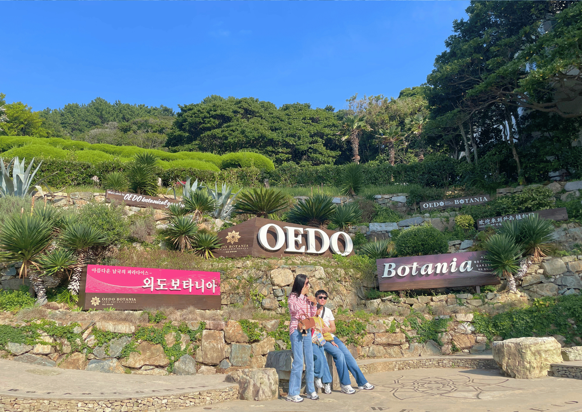 從釜山出發的巨濟島和巨濟外島一日遊：風景優美的探險之旅