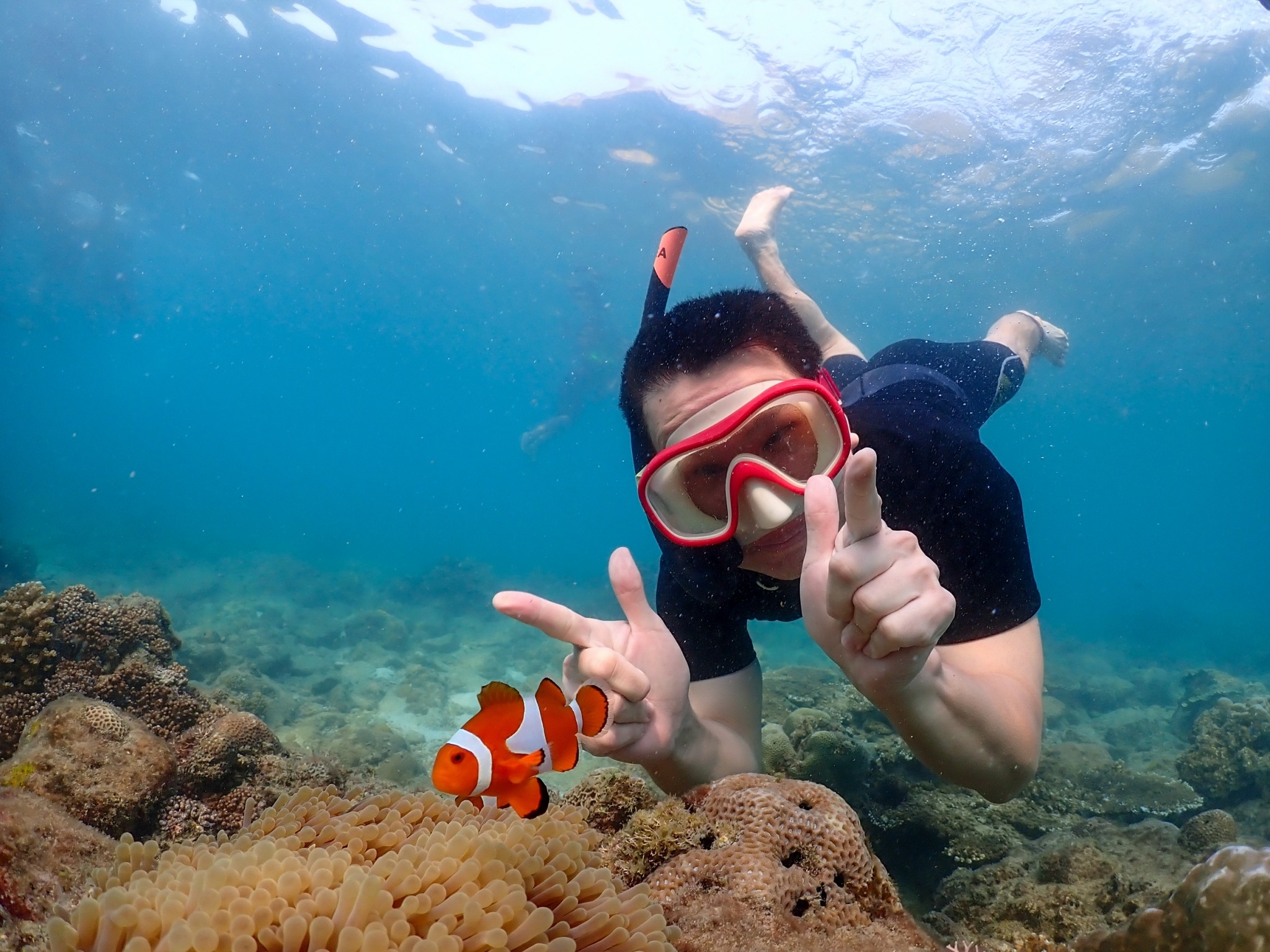 Finding Nemo Private Speedboat tour From Pattaya