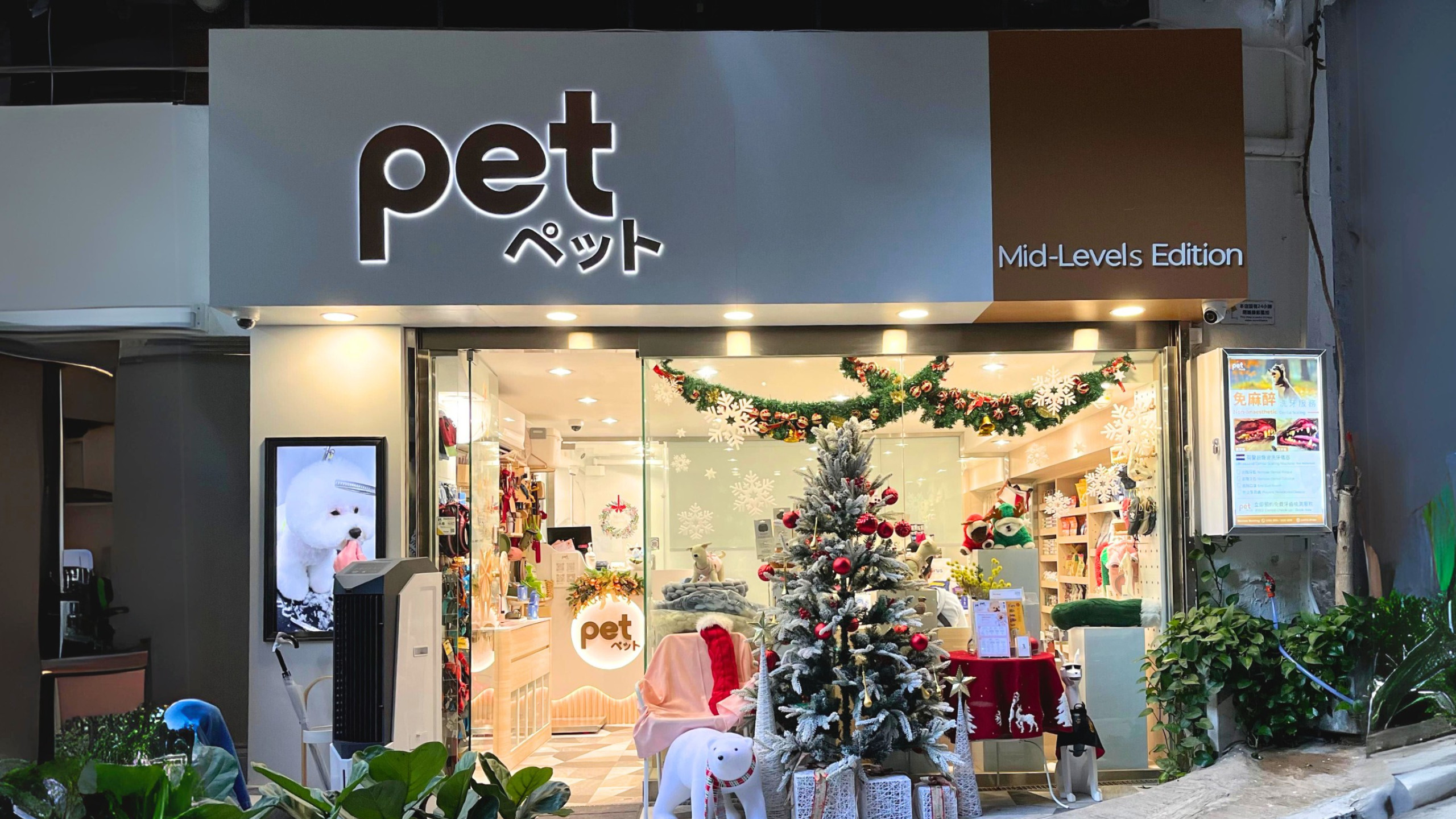 PET HK - Star-rated furry beauty | SPA experience | Professional anesthesia-free teeth cleaning | Mid-Levels, Central