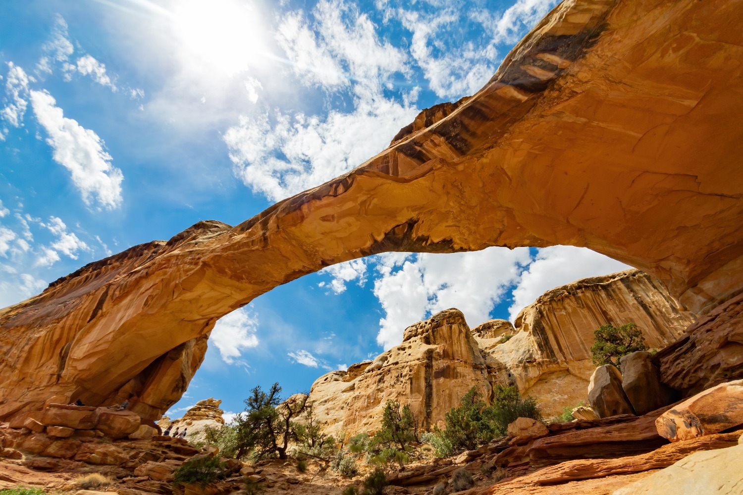 Capitol Reef National Park Self-Driving Audio Tour