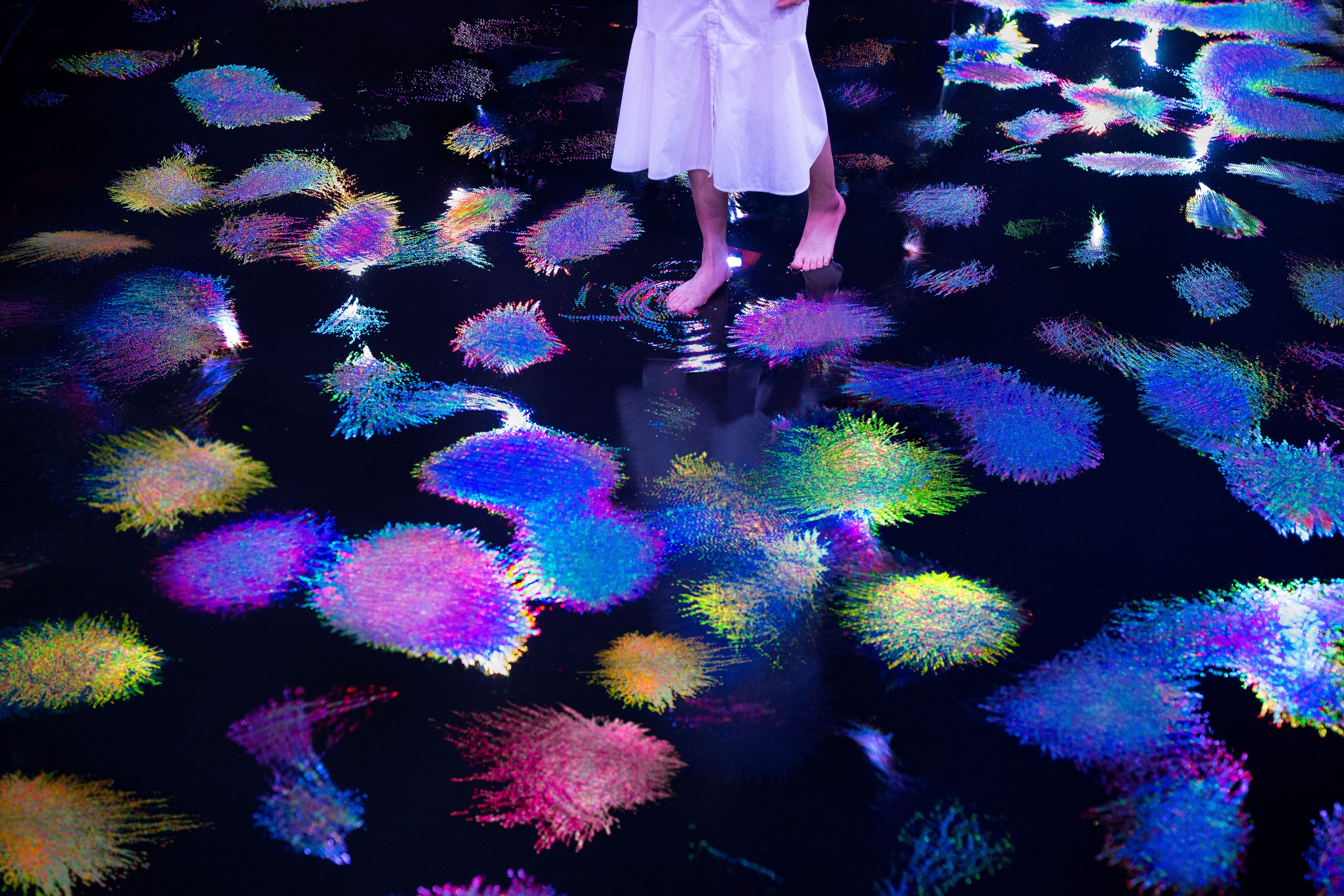 九州佐賀御船山樂園《teamLab 神居住之森 - GC》門票