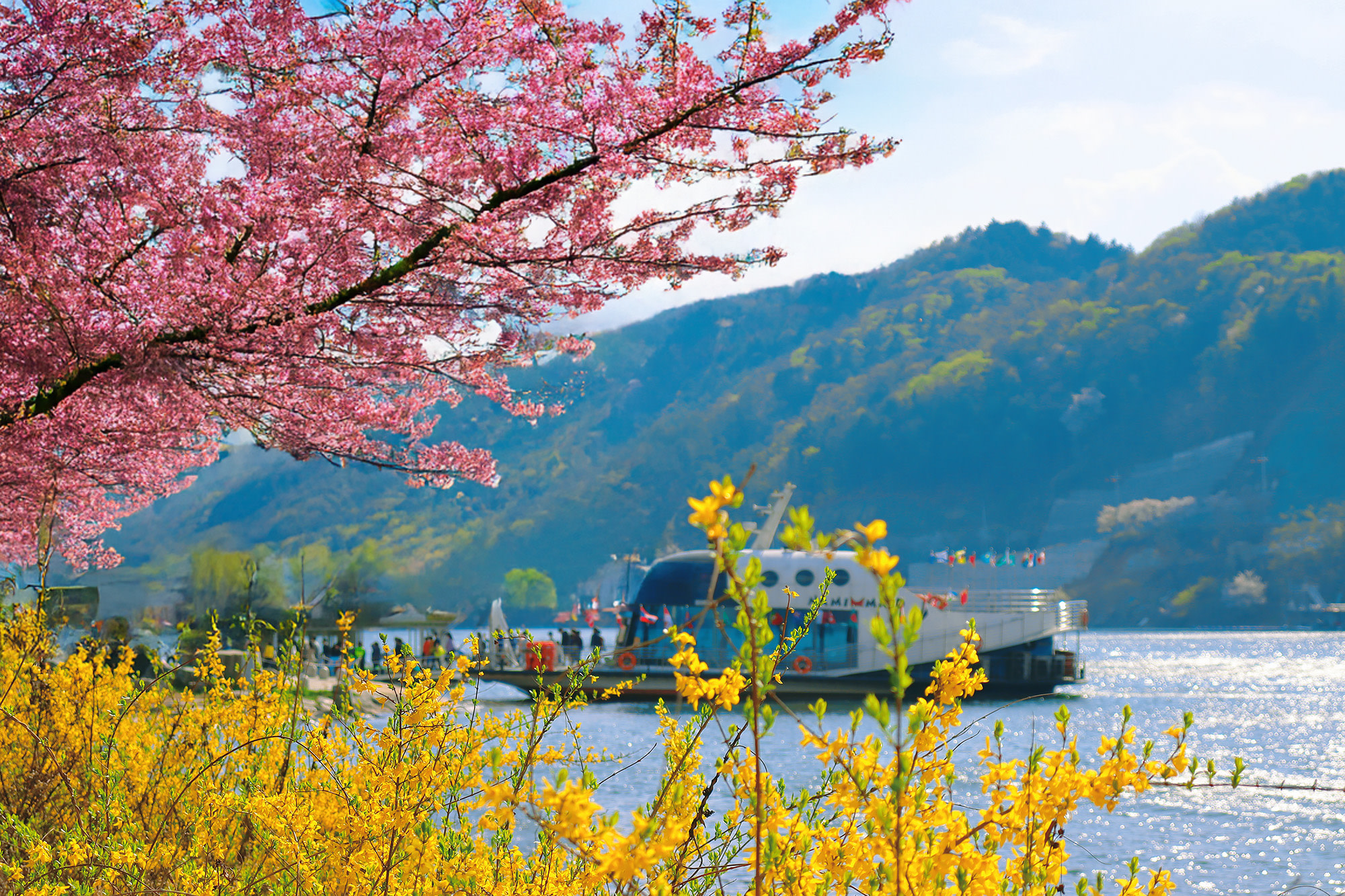 Nami Island Customizable Private Day Tour from Seoul
