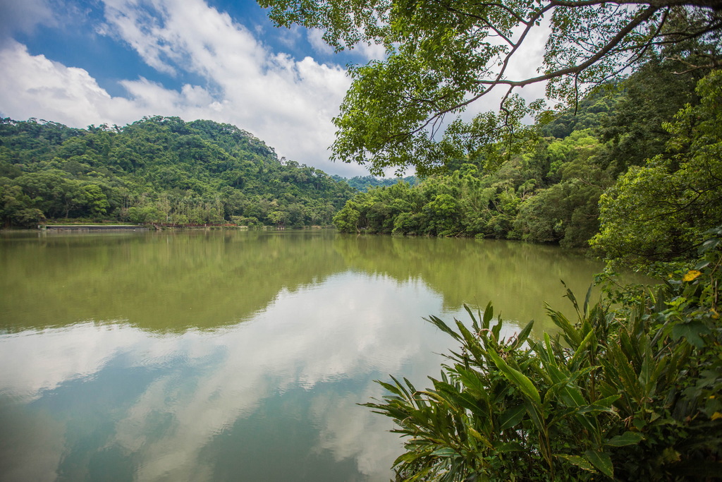 One-day tour to Huoquan Foot Health World, Cihu Lake and Daxi Old Tea Factory