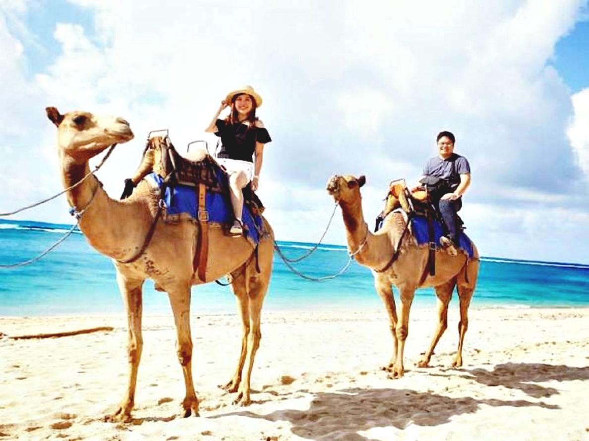 彩色峽谷 & 藍洞 & 達哈布之旅（沙姆沙伊赫出發）