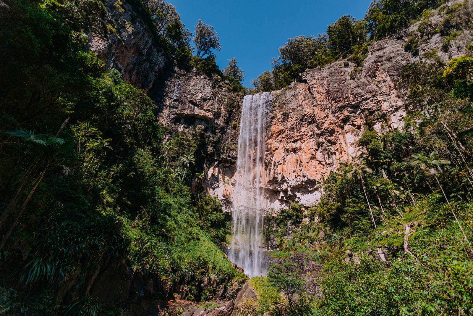 Gold Coast Surfers Paradise Private Full-Day Tour