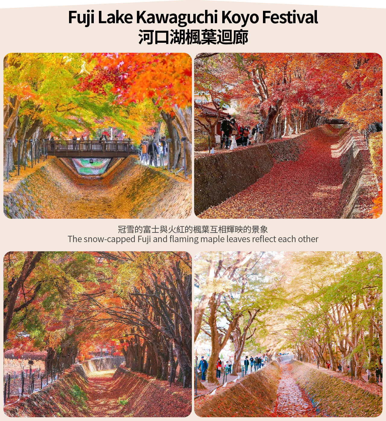 【富士山網紅人氣季節限定景點】富士山天梯小鎮&日川時計店&忍野八海&大石公園或河口湖季節限定-彩虹之花祭&羅森便利店一日遊（東京出發）