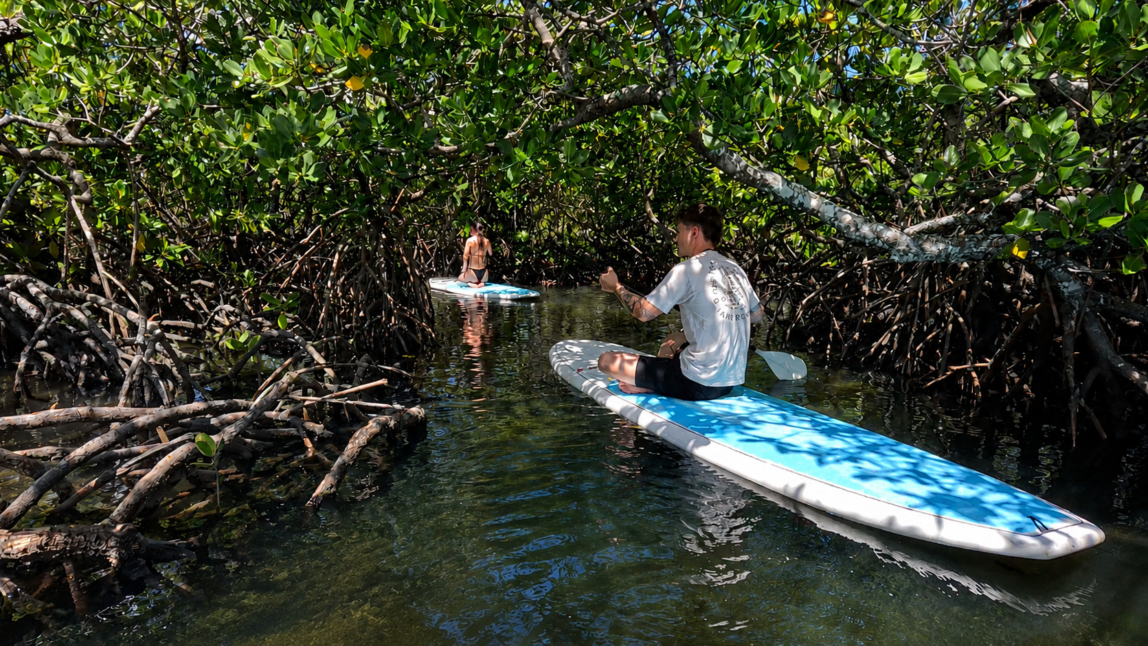 Noosa Stand Up Paddle va Mangrov tunnel safari - O'z-o'zidan boshqariladigan