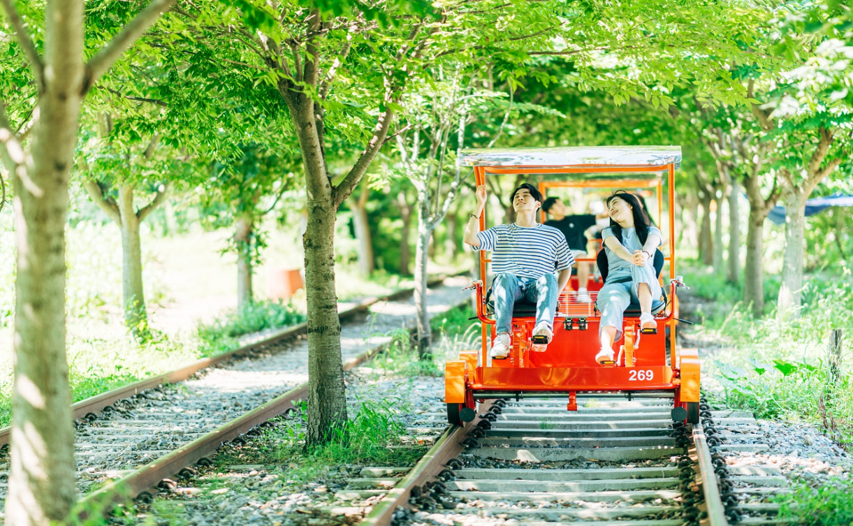 Chuncheon Rail Bike (Gimyujeong Station) Experience & Tasting ‘Traditional Liquor’, the art of traditional brewing