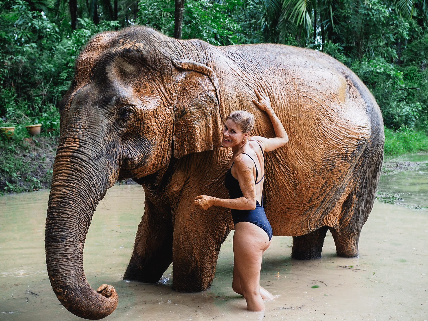 甲米大象保護區（Krabi Elephant Shelter）體驗