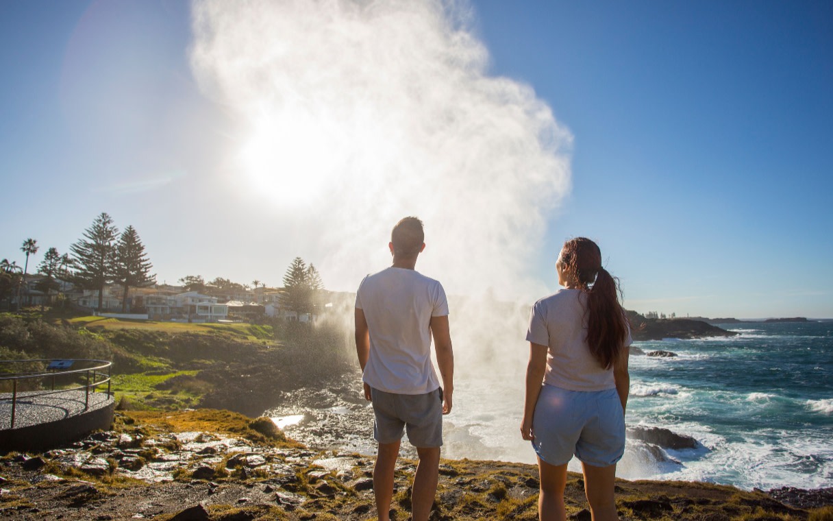 Jervis Bay and Kiama Blowhole Full-Day Bus Tour from Sydney
