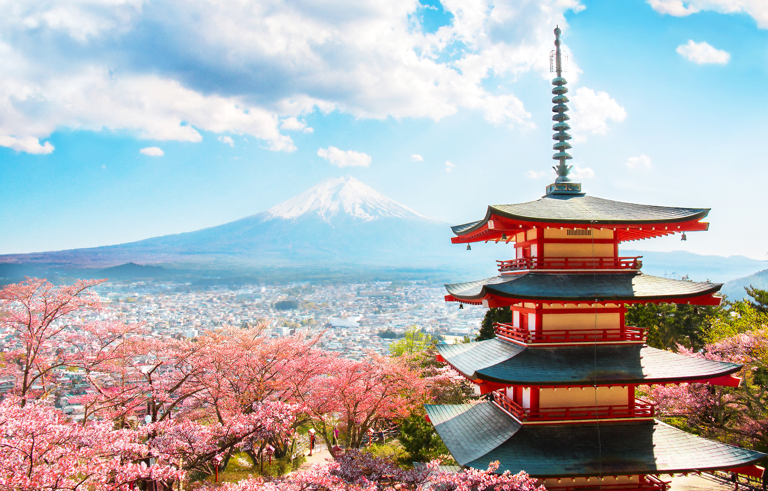 世界各國的攝影師和遊客都為了觀賞這幅景緻紛至沓來，不僅是春天櫻花，這裡夏季新綠、秋天紅葉和冬天雪景都非常漂亮，除了欣賞富士山的絕景，還可以俯瞰極富魅力的富士吉田市內的街景。