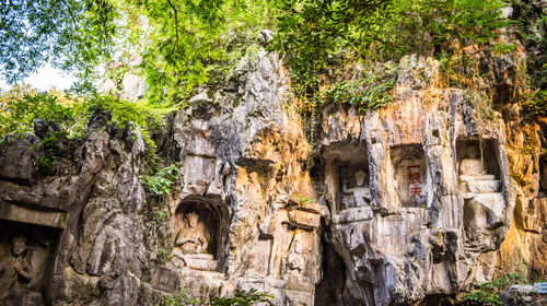 Hangzhou Lingyin Temple Feilaifeng Scenic Spot Ticket