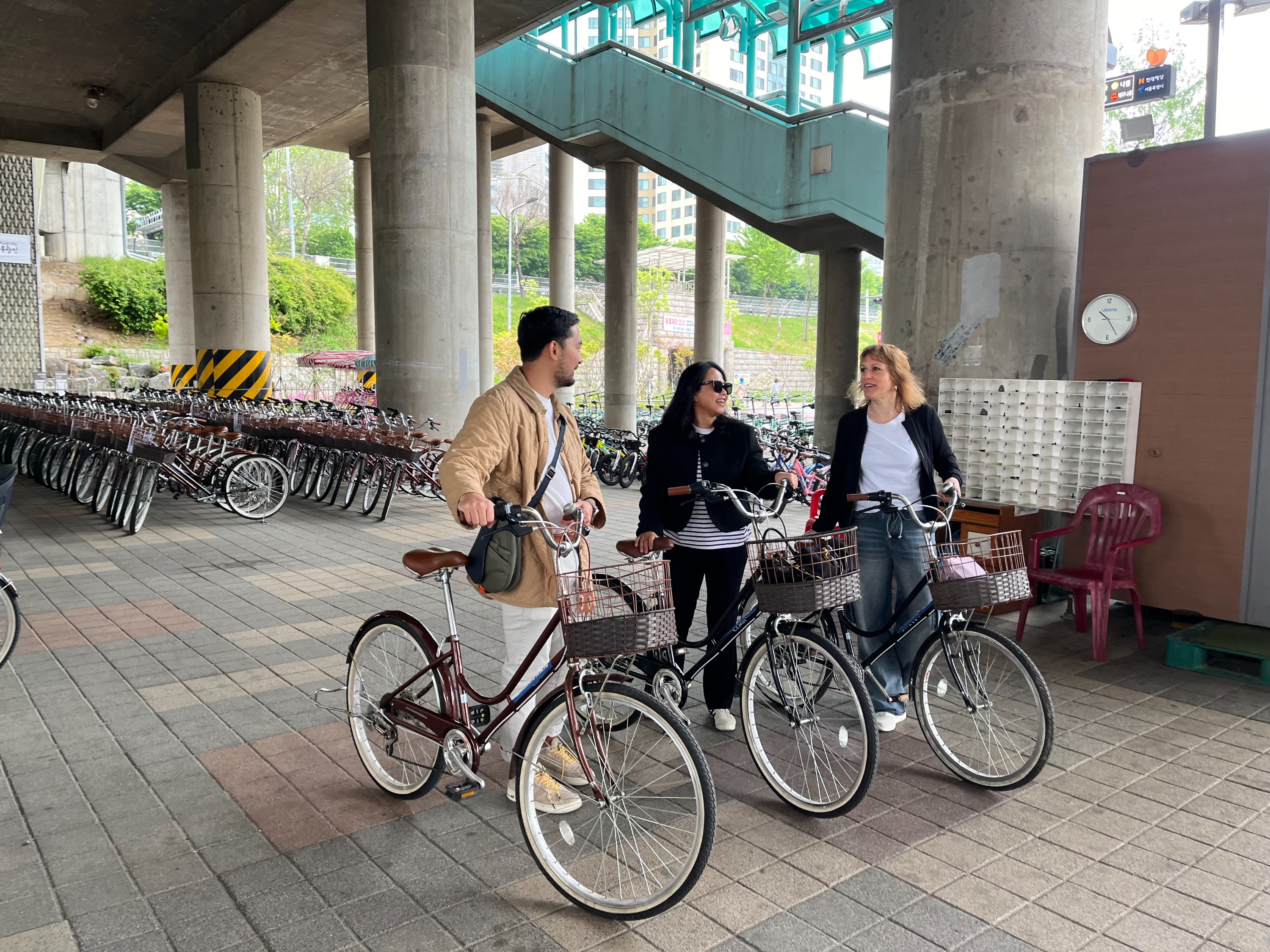 Han River Urban Nature Bike Tour in Seoul