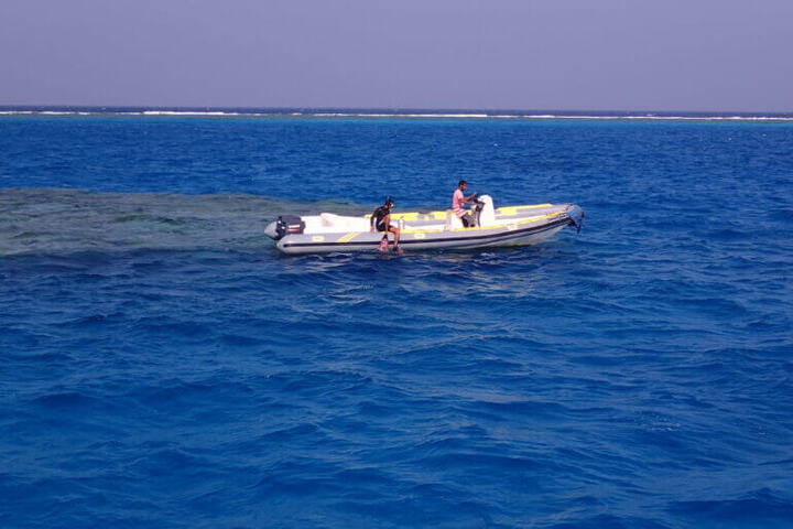 薩塔亞海豚屋過夜之旅 (Port ghalib : Sataya Dolphin House Overnight)