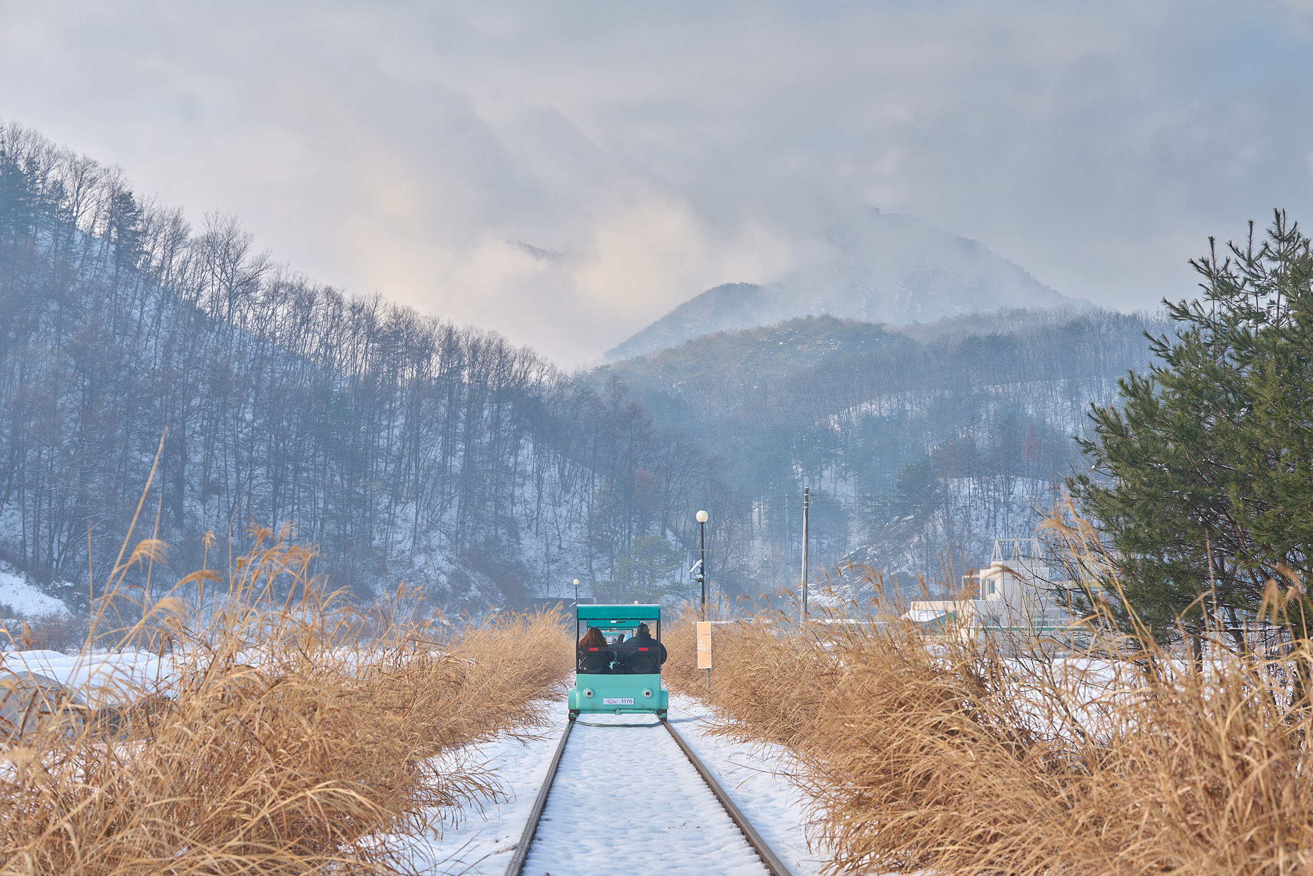 乘坐江村鐵道自行車，欣賞周邊賞心悅目的自然美景