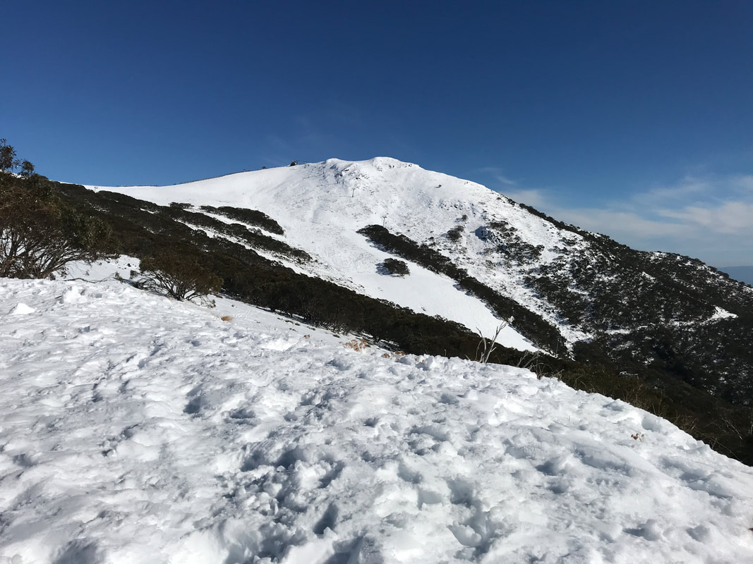 布勒山導覽之旅（墨爾本出發）