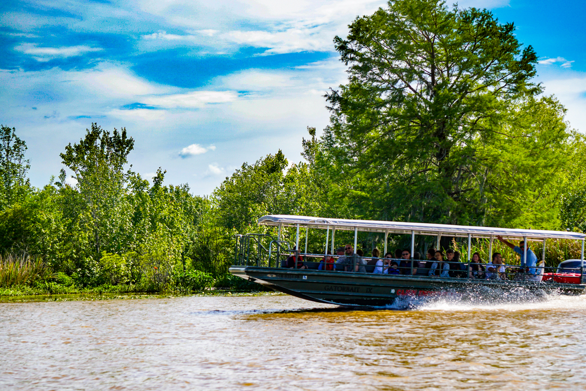 Discover the heart of the swamp on a Cajun Encounters Boat Tour on a stunning wetlands
