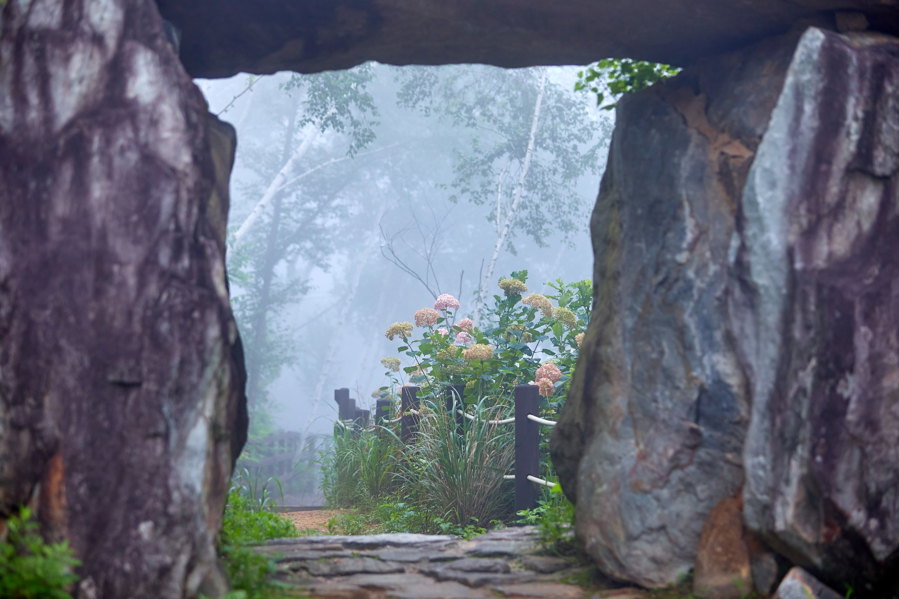 Romyzian Garden門票