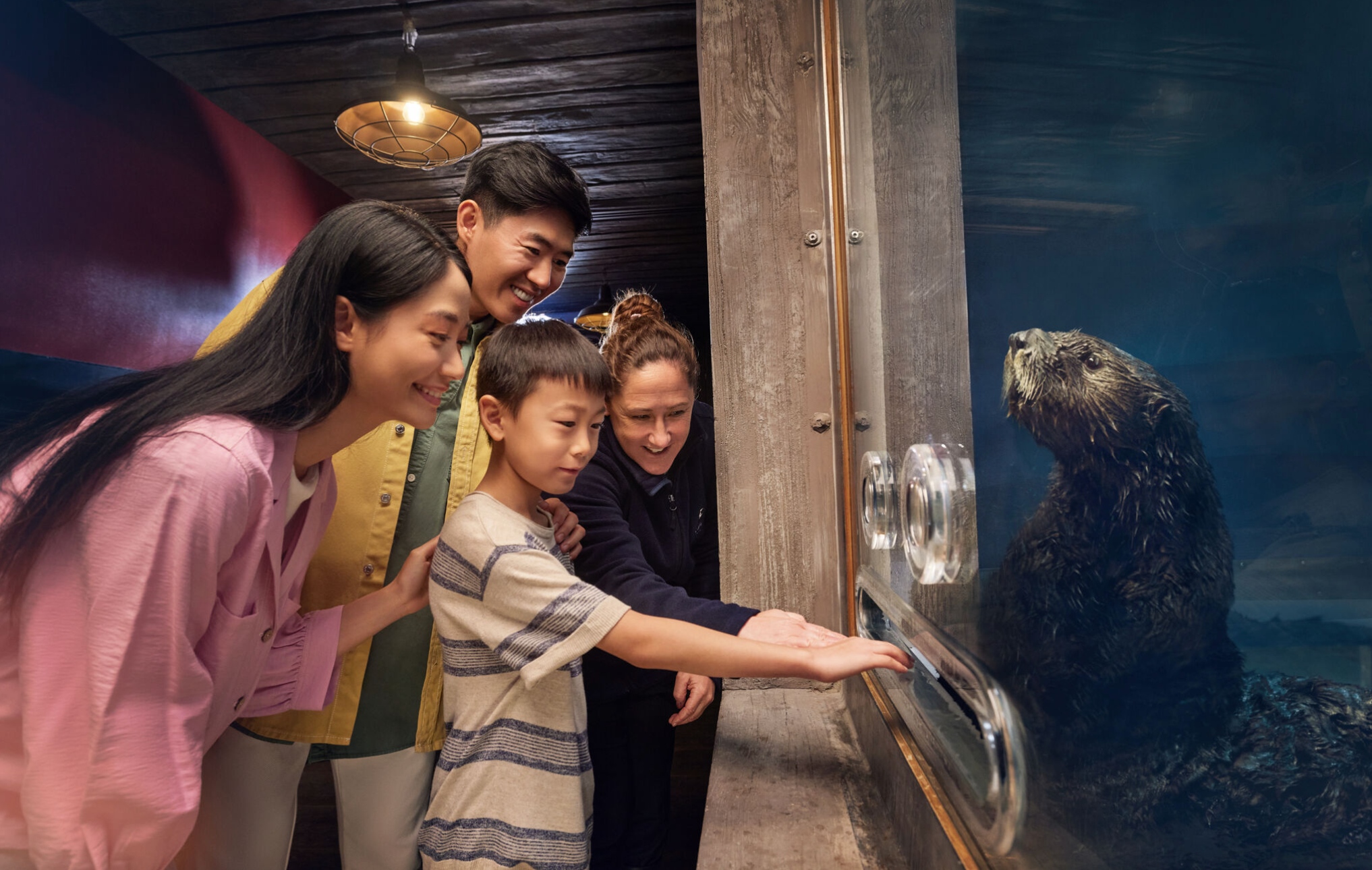 sea otter encounter