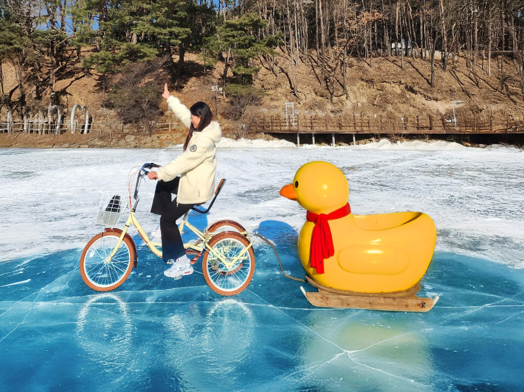 請注意，如果由於天氣原因湖面沒有完全結冰，山井湖的鴨子雪橇可能無法使用。