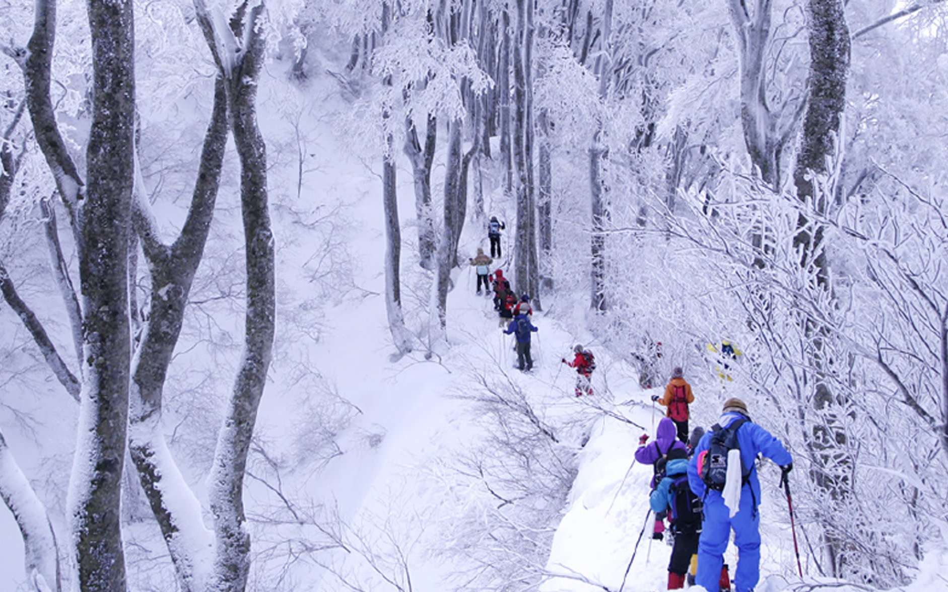 Daisen Snowshoeing in Tottori