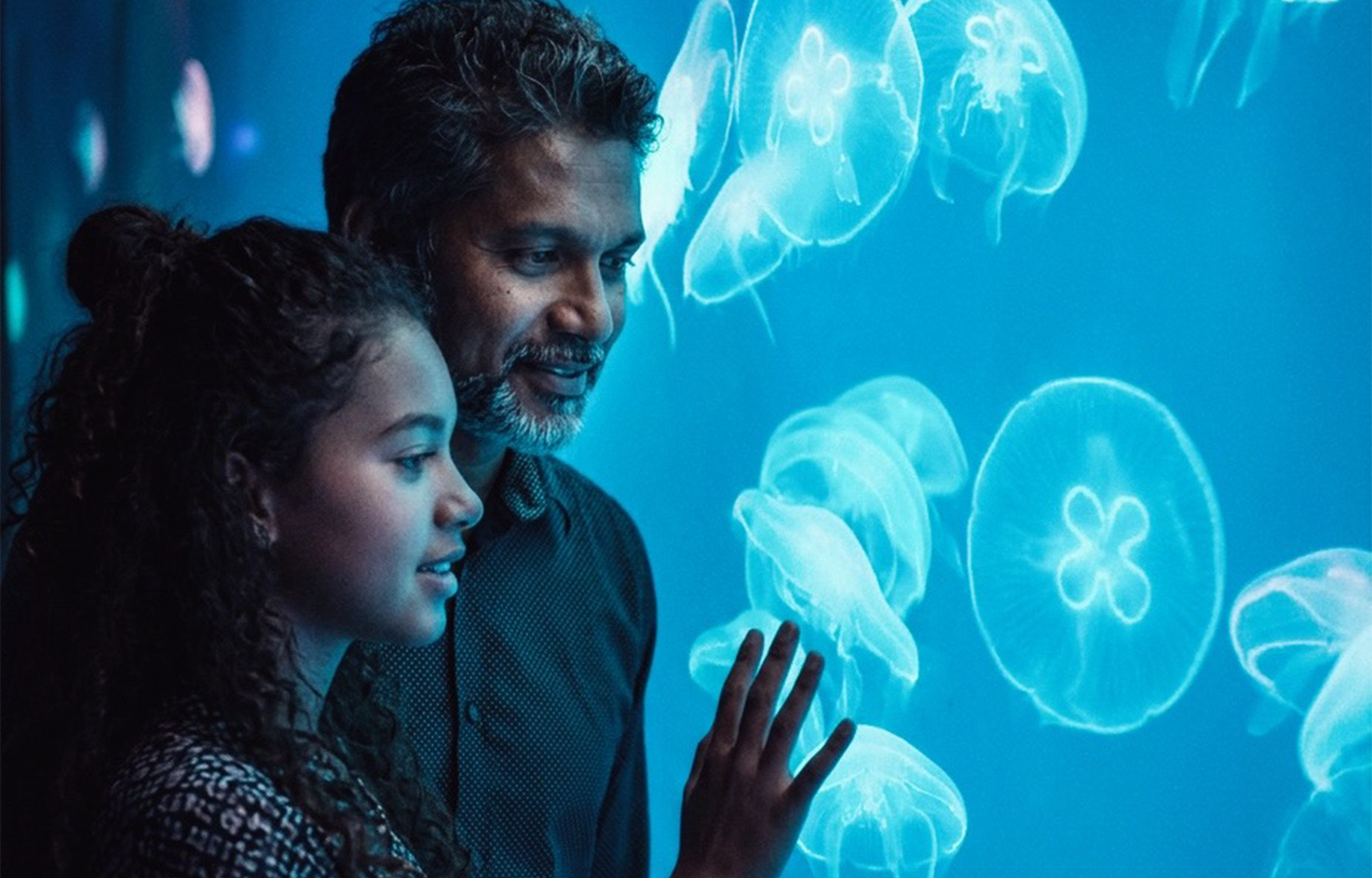 Odysseo Oceanarium Mauritius