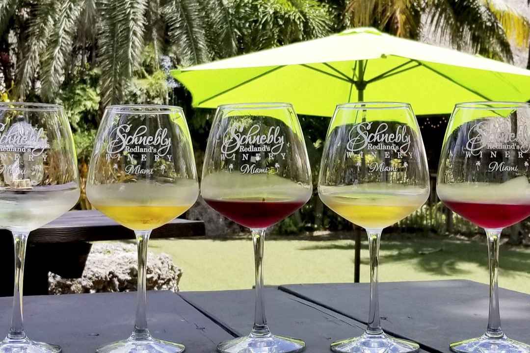 Full Day Taste of the Tropics in Florida