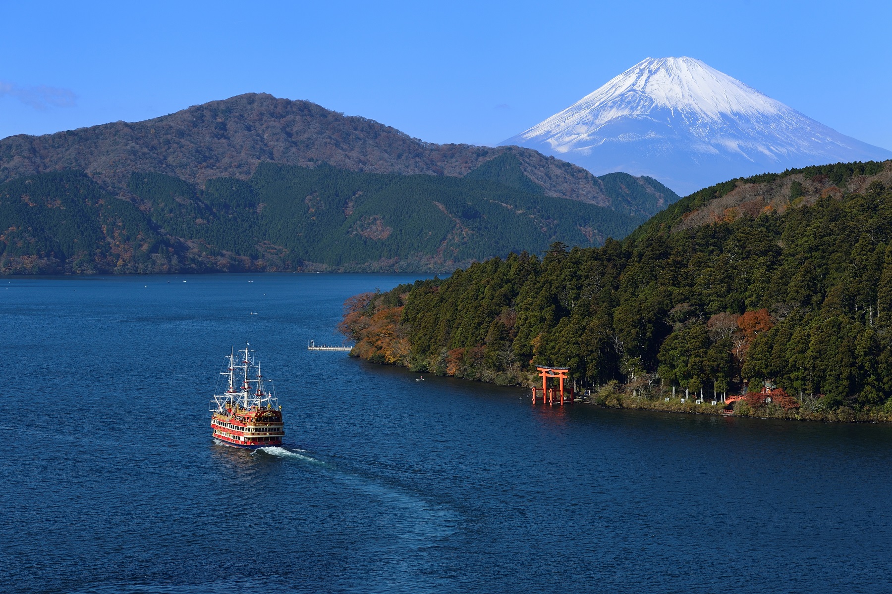 下田公園繡球花祭 & 三島大吊橋 & 大室山纜車 & 修善寺溫泉 & 城崎海岸 & 箱根神社二日遊 (入住觀海絕景露天溫泉酒店)