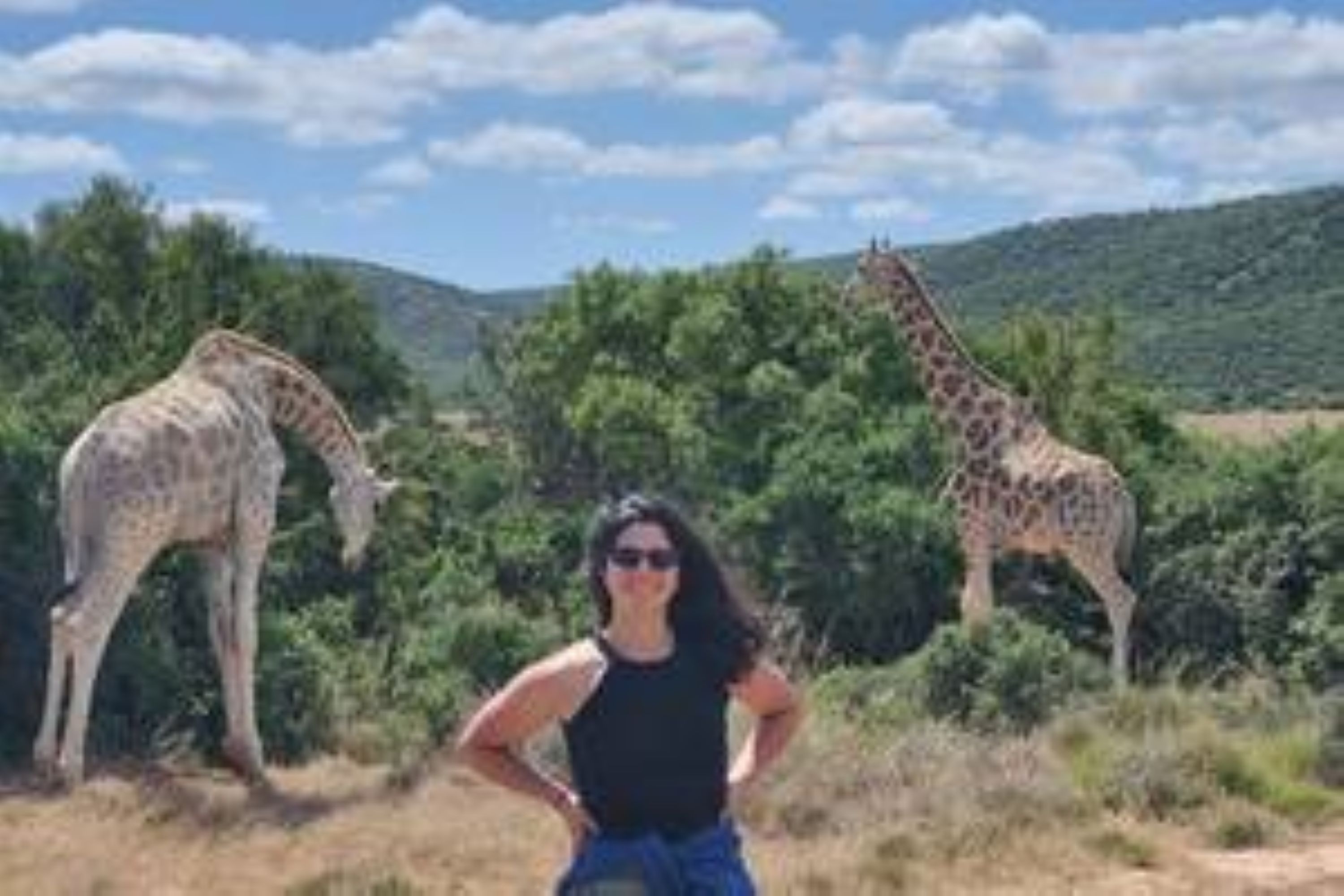 Full-Day Addo Park & Giraffe Walk Safari