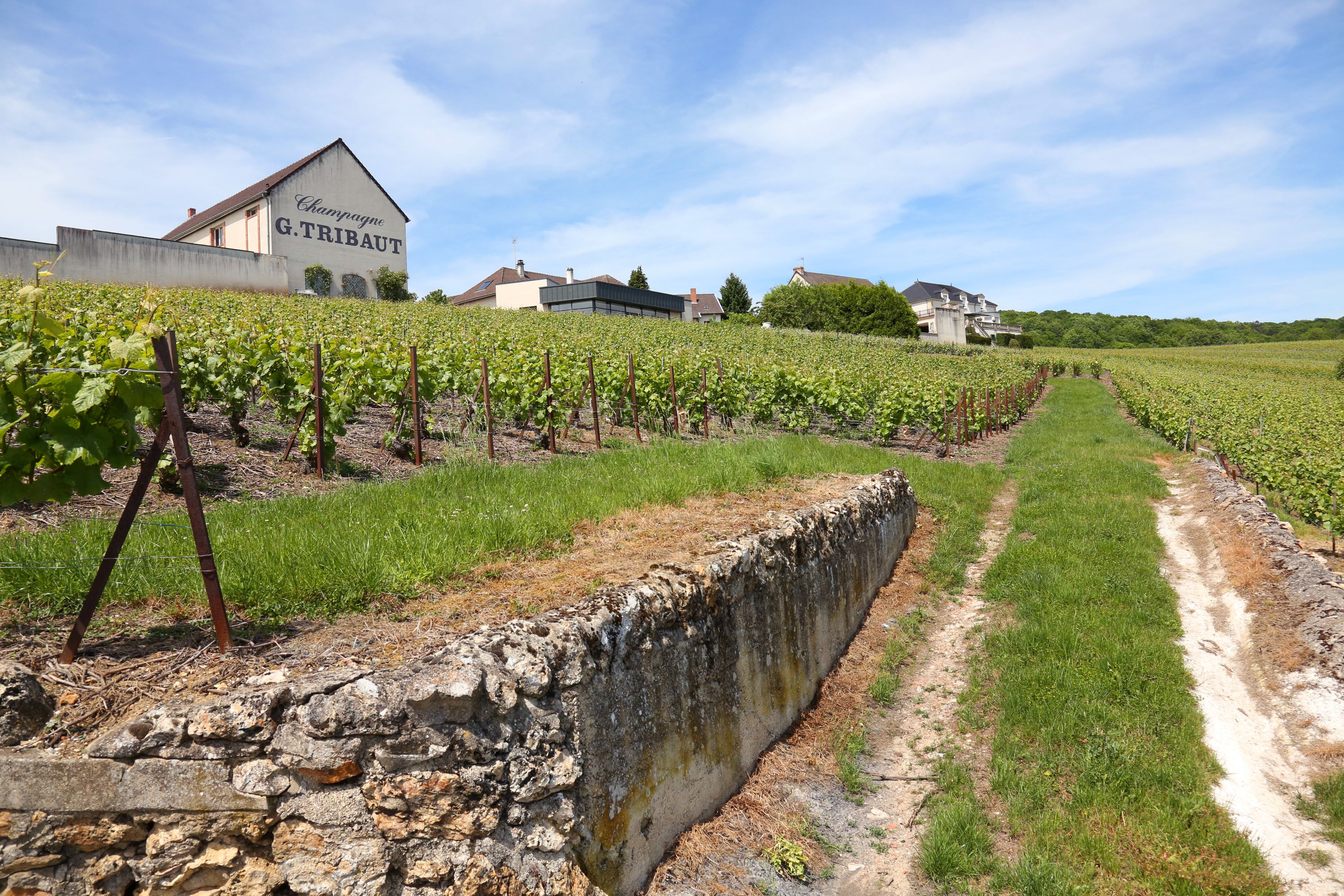 Champagne Tour with Lunch and Tasting from Paris