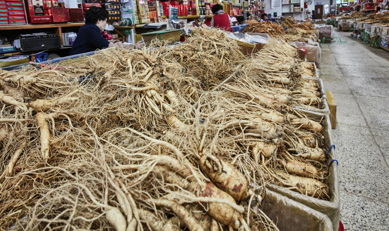 귀국 웰니스 데이 투어 서울출발 인천공항 도착: 베트남어 가이드