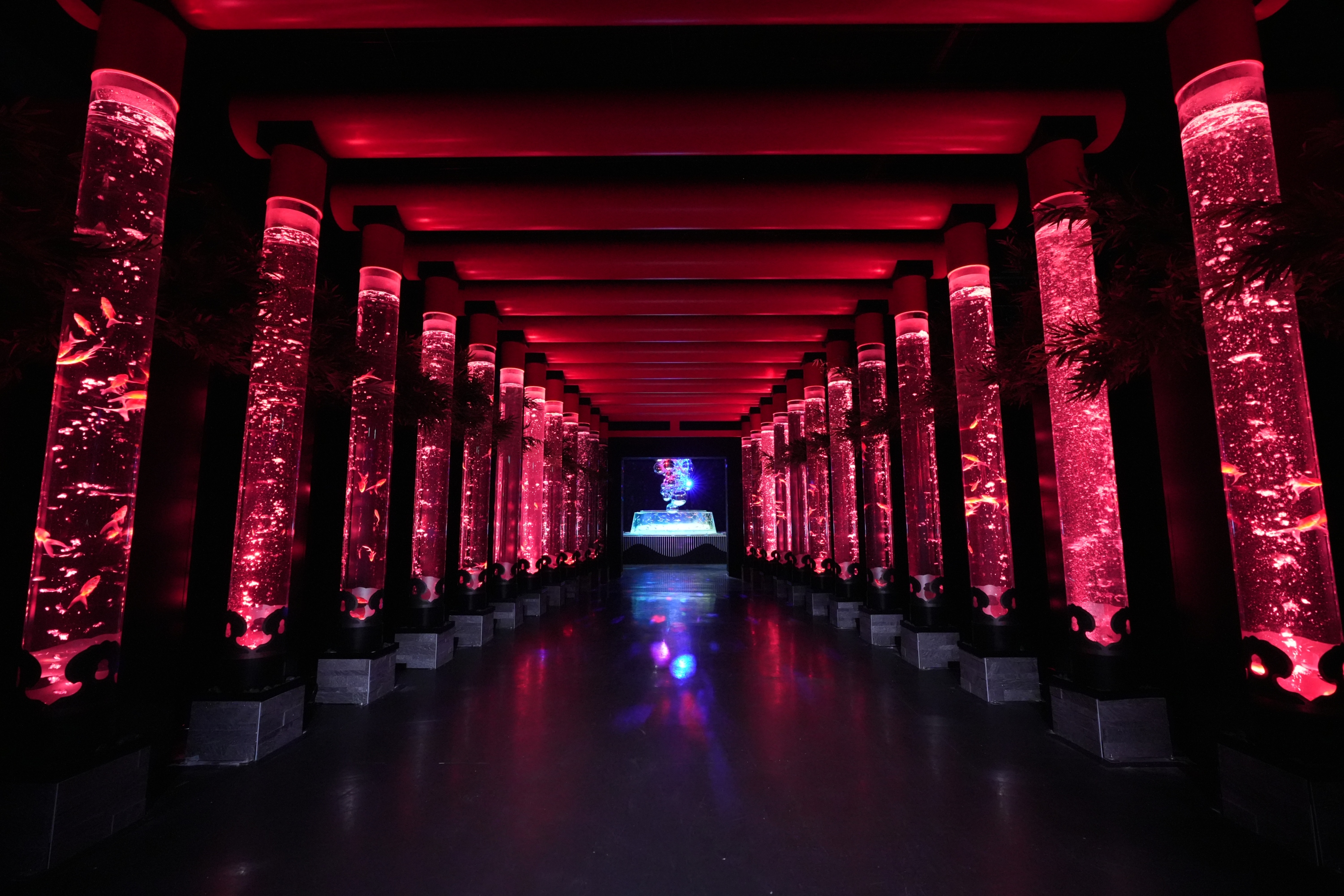 東京銀座藝術水族館門票